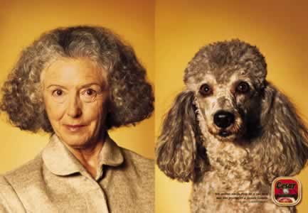 womandog.gif